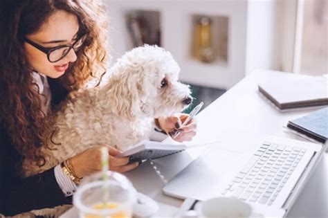 Learn about our claims process. MetLife enters pet insurance market with acquisition ...