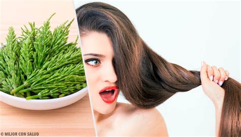 The silica in horsetail has been shown to encourage hair growth and hair thickness. How to Use Horsetail to Help with Hair Growth - Step To Health