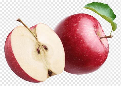 12 koleksi gambar buah apel terbaru 2018 sigambar baru source. Gambar Sketsa Apel 3D - Granny Smith Makanan Apel Pola ...