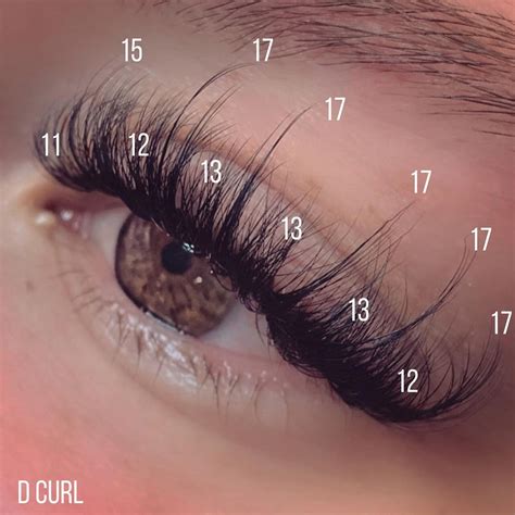 Eyelash extensions in honolulu will instantly give you captivating, glamorous eyes that appear brighter. WISPY CAT EYE LASH MAP |Lashtraining | Lash artist ...