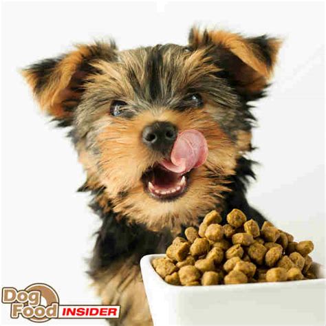 14/01/2018 by clydethedog (1 review written) i've been feeding my dog iams for years. Iams Premium Protection Mature Adult Dog Food Review