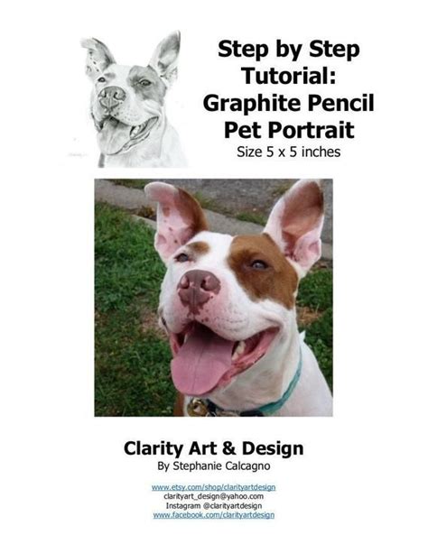 If you've drawn human eyes before, then it is similar to that. How to draw a realistic pencil pet portrait step by step ...