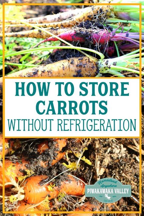 We did not find results for: Storing Carrots: How to store carrots without ...