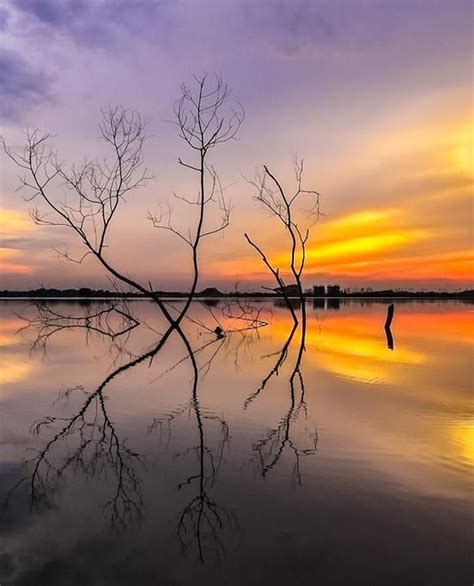 Puchong is a major town and a parliamentary constituency in the southern portion of petaling region, selangor, malaysia. Puchong Lake, Selangor, Malaysia