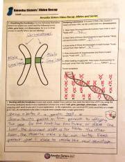 Learn how to set up and solve a genetic problem involving multiple alleles. video_recap_of_alleles_and_genes_by_amoeba_sisters.pdf ...