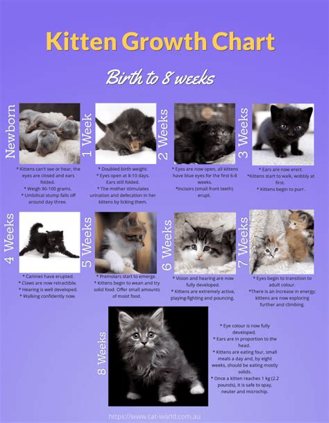 We support local cats & cat colonies with food, medicine, veterinary care & assist in the coordination of neutering programs. Kitten Growth Chart - Newborn to 8 Weeks | Cat-World