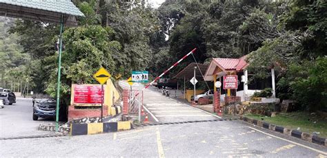 Posted by ulfa @ 9:03 pm. Mohd Faiz bin Abdul Manan: Taman Botanikal Pulau Pinang