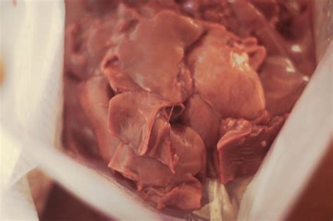 Check spelling or type a new query. Alternatives To Commercial Dog Food - The Elliott Homestead