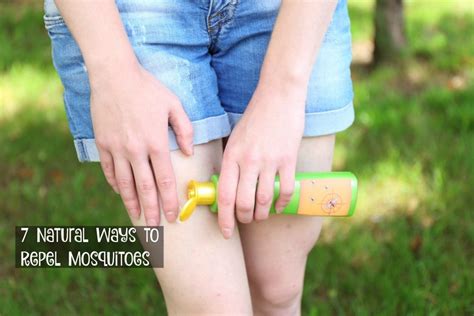 Given below are some ways to use it image credits: 7 Natural Ways to Repel Mosquitoes