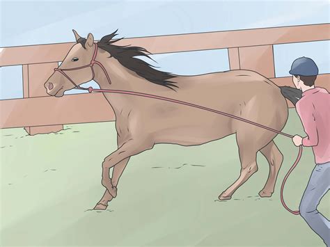 We did not find results for: How to Teach Your Horse to Lunge: 11 Steps (with Pictures)