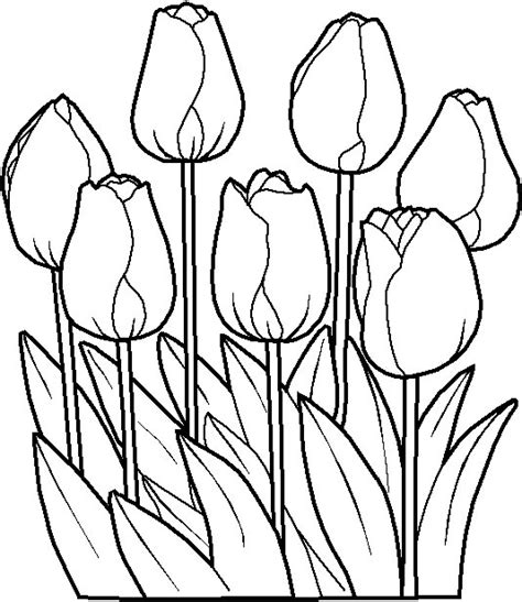 Free bff coloring pages download free clip art free clip art on. imagini de colorat cu flori desene de colorat ~ Desene ...