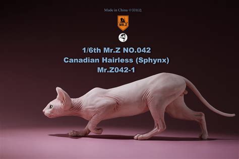 The sphynx seems like a contradiction: NEW PRODUCT: MR.Z: 1/6 Simulation Animals 42nd - Sphynx ...