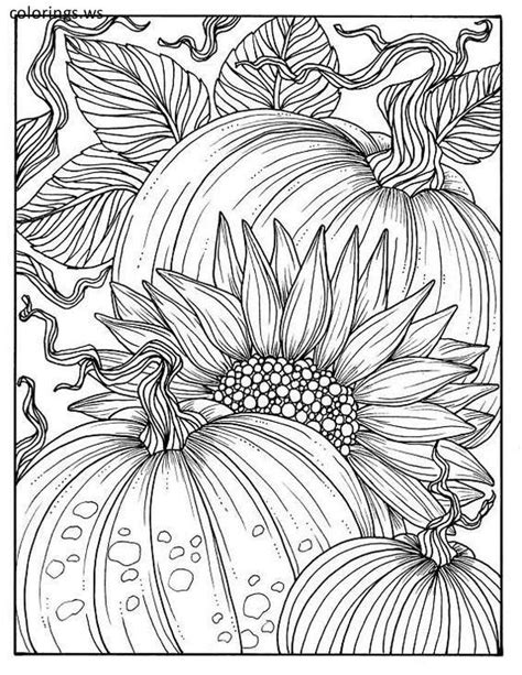 Fall coloring pages for adults are here. Sunflower And Pumpkings Hard Adults Coloring Page, Adults ...