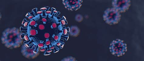 It was just last month that the. New COVID-19 strain UK: What is the new coronavirus ...