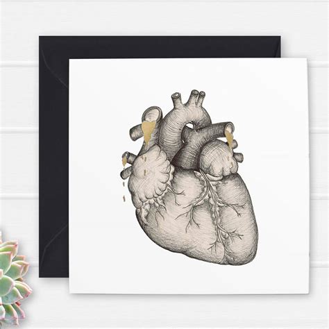 Check spelling or type a new query. Anatomical Heart Illustration Valentines Card By Cherry ...