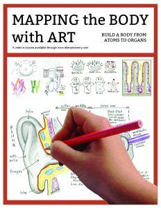 Free anatomy mapper for android. MAPPING THE BODY with ART: Paperback Workbook | Curriculum ...