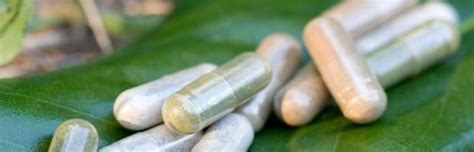 D'ailleurs dans la grèce antique, le travail. La phytothérapie de A à Z : comment se soigner avec les ...