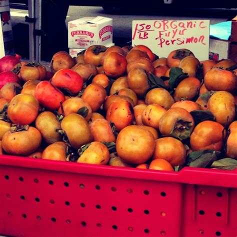 Get instant access to property photos so you can explore the home online. Fuyu Persimmons Information, Recipes and Facts