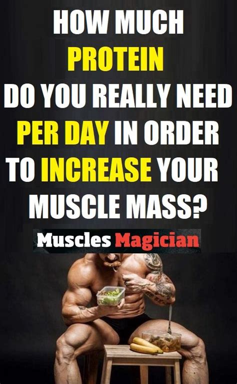 How much protein do you really need to build muscle? How Much Protein Do You Really Need to Build Muscle ...