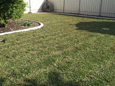 Ready to give your lawn a whole new look? Instant Lawn Pictures | Instant Turf Gallery