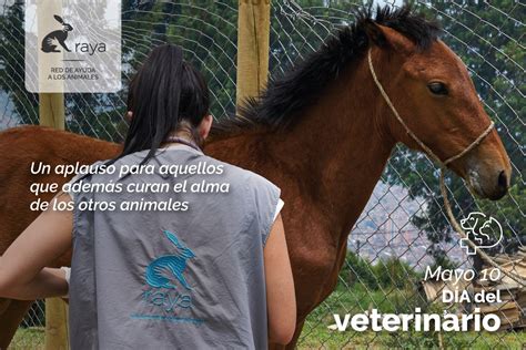 Maybe you would like to learn more about one of these? Día Nacional del Veterinario - 2020 | RAYA - Red de Ayuda ...