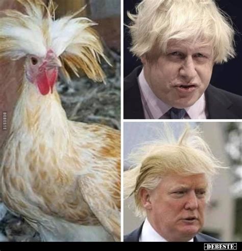 He was previously foreign secretary from 13 july 2016 to 9 july 2018. 157 lustige Bilder von Donald trump in 2019 | Lustig, neue ...