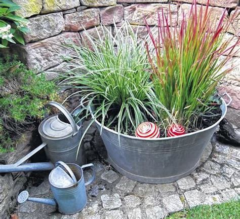 Miniteich ebike.community terrassenteich seerose zinkwanne teichnebler gartenideen balkon Zinkwannen bepflanzen | Zinkwanne bepflanzen, Bepflanzung ...