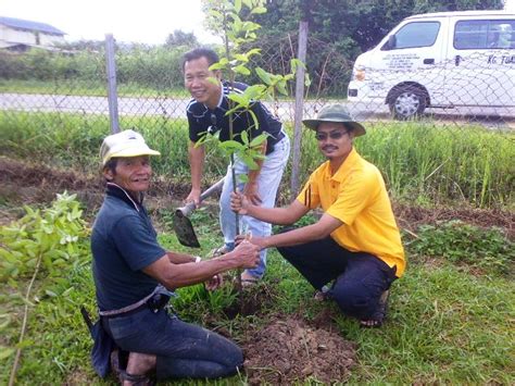 Dm hotel ⭐ , malaysia, kota kinabalu, lot 27, lorong pokok kayu manis, block c: Projek menanam pokok di kawasan sekolah -16oktober2010