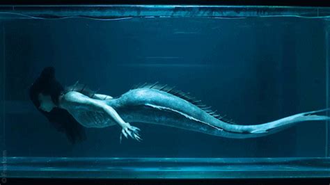 Check spelling or type a new query. Tv Series Mermaid GIF by Siren - Find & Share on GIPHY