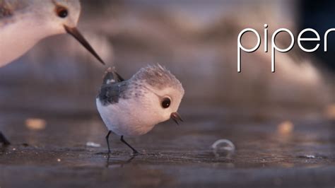 Die INDACs Kritik von Tim Hennig zu Pixars „Findet Dorie ...