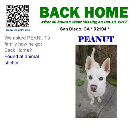 We did not find results for: Craigslist San Diego Pets Free