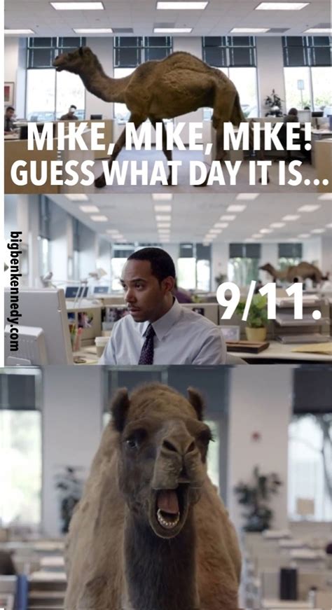 Funny these pictures of this page are about:name of the geico camel. Geico Camel on Wednesday 9/11/2013 : funny