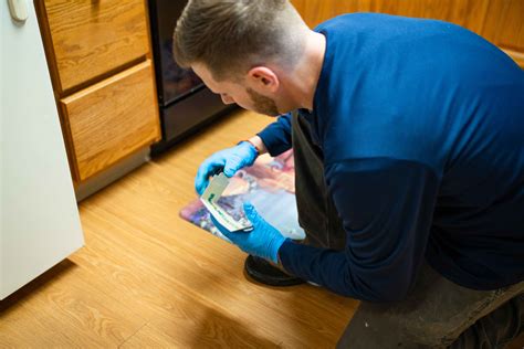 Aaa pest control ⭐ , united states of america, florida, broward county, oakland park: Mice Pest Control Services | Johnny B Pest Control