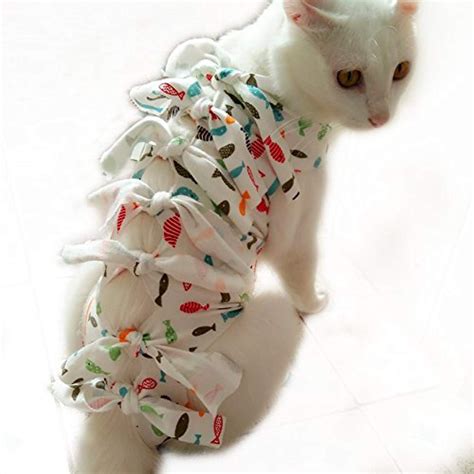 Did you scroll all this way to get facts about cat recovery suit? Professional Recovery Suit for ABDOMINAL Wounds and Skin ...