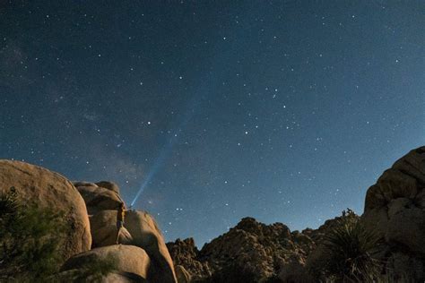 Another reason people venture the scorching heat to camp in joshua tree is the star gazing. A Guide to Summer Camping in Joshua Tree National Park