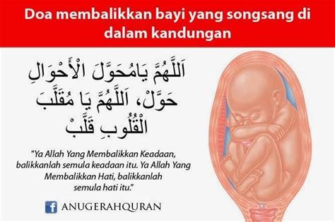 Jika pada masa ini bayi anda berada. 8 Tips Untuk Menukar Kedudukan Bayi Songsang | Zon Wanita