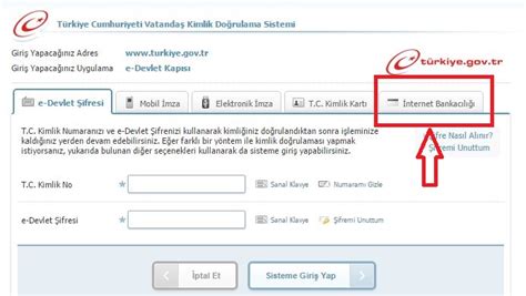 E devlet girişi nasıl yapılır ? E-Devlet Şifresi Alma (İnternetten) | ViraListe.com