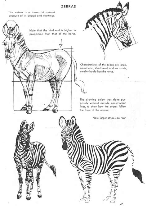 Caricature involves pushing the proportions of the. The Art of Animal Drawing, Construction, Action Analysis, Caricature (Dover Art Instruction) by ...