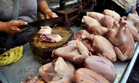 Dan tingkat tumbuh kembangnya jauh lebih cepat jika dibandingkan dengan jenis ayam buras atau ayam bukan ras. Referensi Harga Ayam Broiler Hari Ini / Harga Ayam Broiler ...