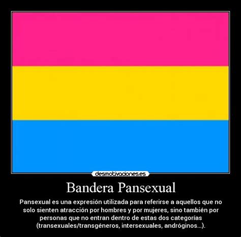 Pansexual es un término o palabra que deriva del griego pan: Bandera Pansexual | Desmotivaciones