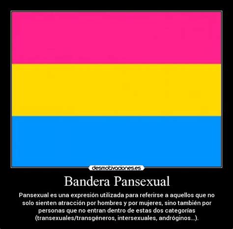 Pansexual es un término o palabra que deriva del griego pan: Bandera Pansexual | Desmotivaciones