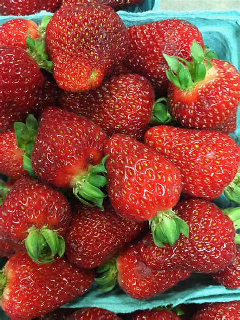 Strawberries are one of the best plants to grow in containers, and they even do well indoors. Strawberries