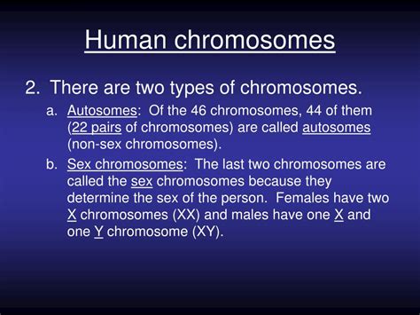 What is the number of chromosomes for diploid human cells? PPT - Chapter 14-1: Human Heredity PowerPoint Presentation ...