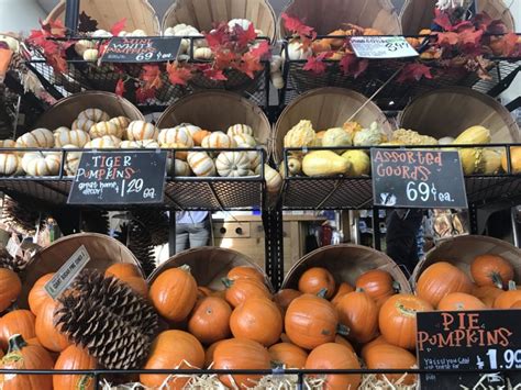Decorative set of small ceramic pumpkins and gourds. Trader Joe's welcomes the Halloween season with affordable ...