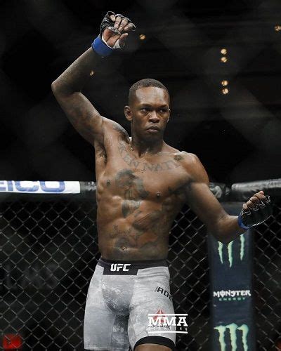 Bt sports 2, ufc fight pass free, box nation live, sky sports box ppv, bein sports stream, espn free, fox sport 1, hbo online. Who is Israel Adesanya? Learn about his Career, Net worth ...