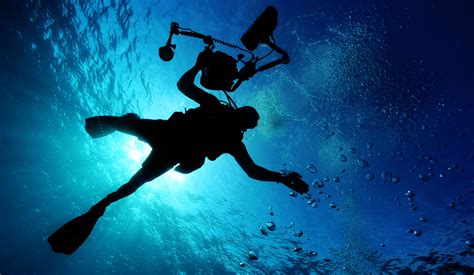 Il suffit de cliquer et regarder! A diving photographer with underwater camera 4k Ultra HD ...