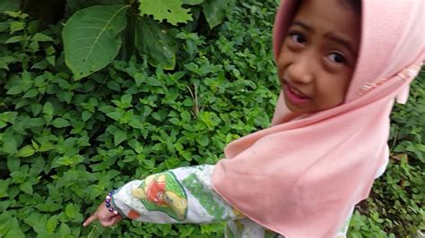 Jun 28, 2021 · viral potret kucing dekil diadopsi pecinta hewan, kini berubah jadi super cantik. Naik gunung - YouTube
