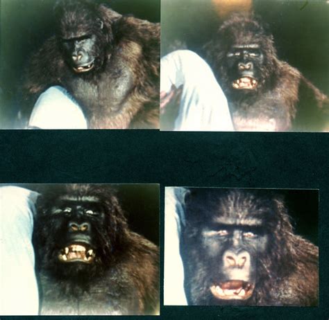 Murders and gory bodies abound in the henry blanke production, which gives fulsome attention to the bloody violence loosed by the title's phantom. Hollywood Gorilla Men: July 2011