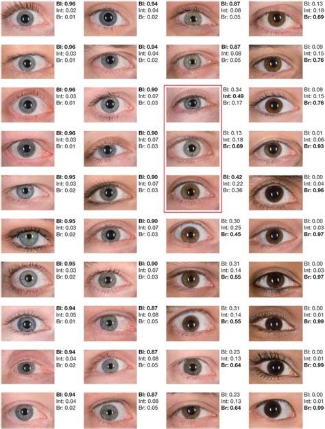 The transition of baby eye color from birth to toddler. What Does Your Eye Color Say About You? | Eye color facts ...