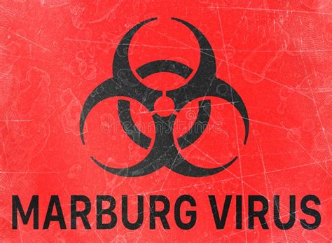 Marburgvirus, genus of viruses in family filoviridae, known for causing severe disease in humans and other primates. Het Marburgvirus, Biohazards, Verwijst Naar Biologische ...